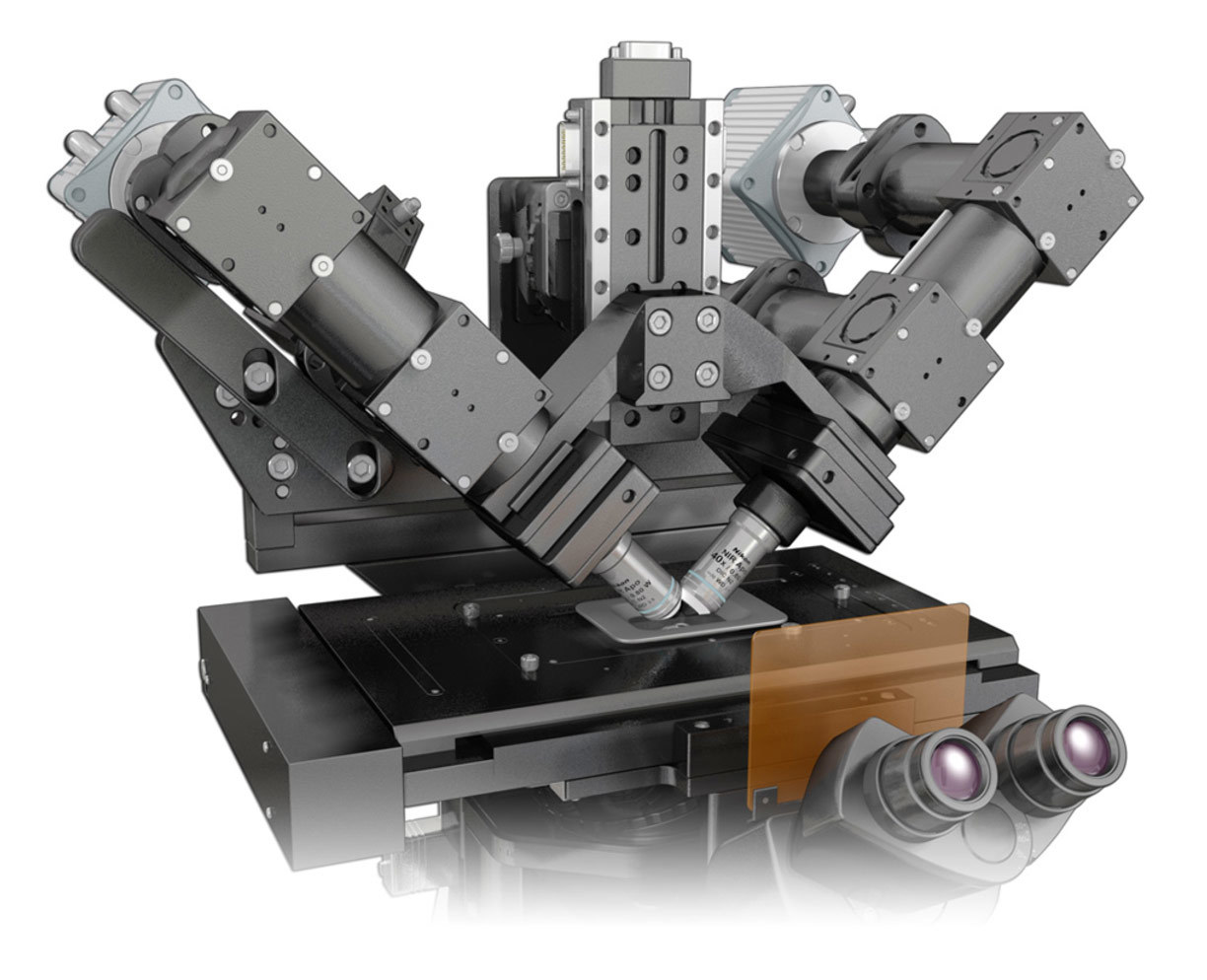 Light Sheet Fluorescence Microscopy