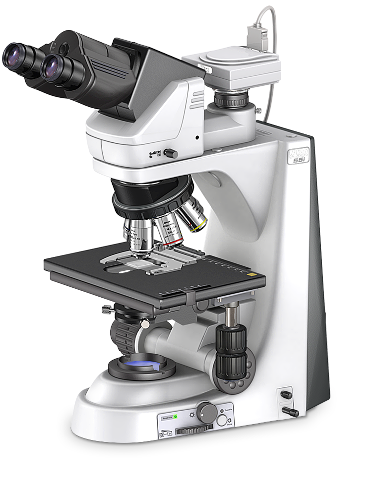 nikon microscope