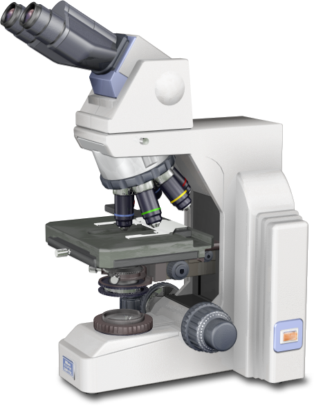 nikon eclipse microscope